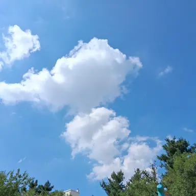 Profile image of 귀멸의칼날 주들