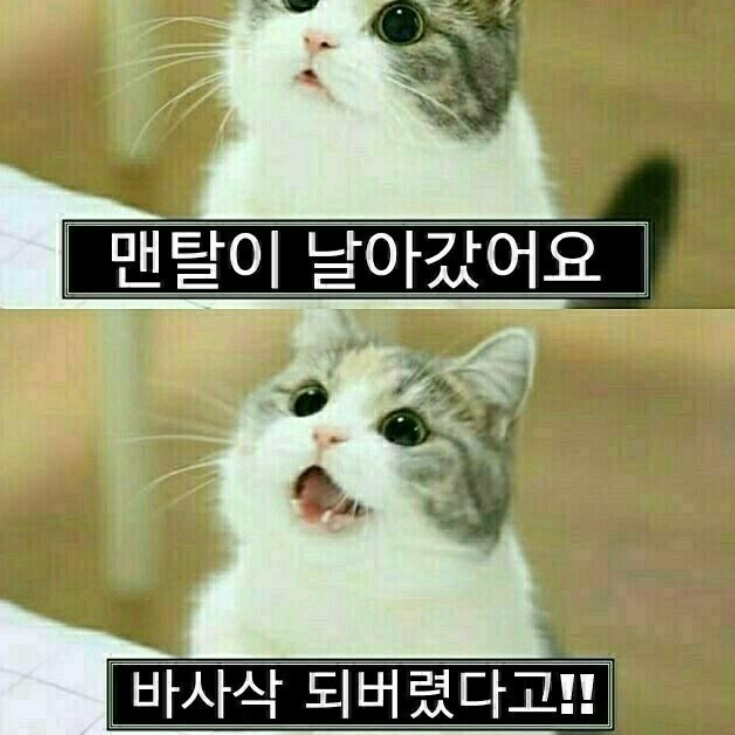 「 싸가지 귀족 가문에서 살아남기 」 대표 이미지