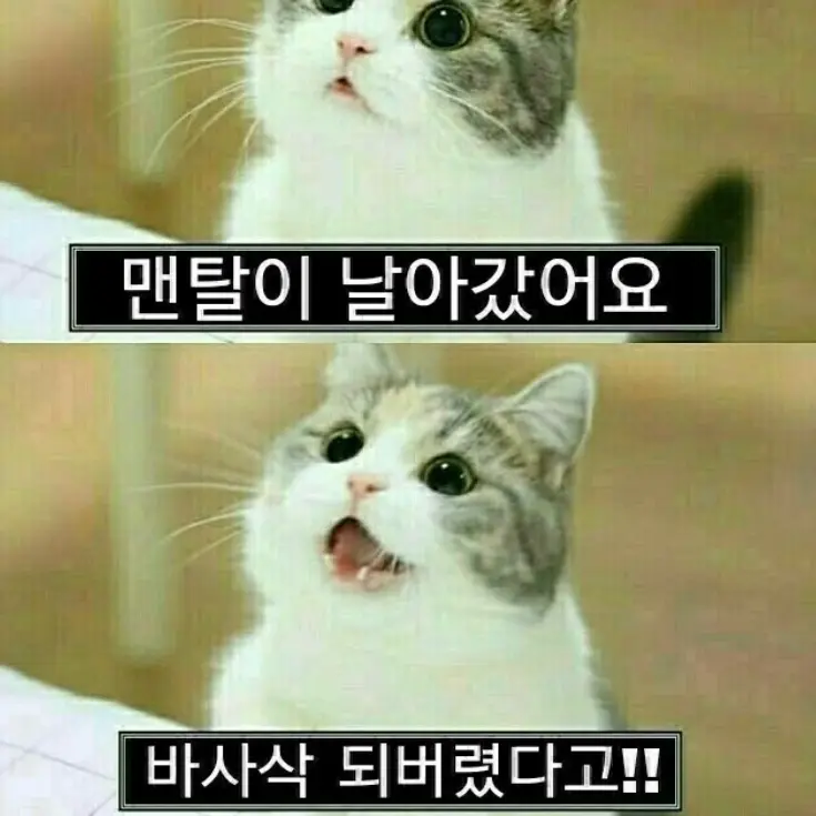 Any1218의 「 싸가지 귀족 가문에서 살아남기 」