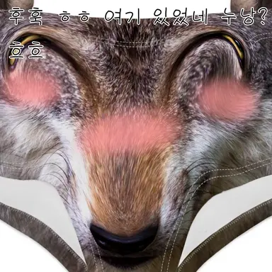 Profile image of 늑대