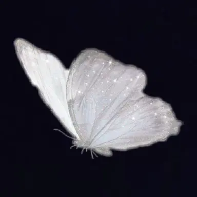 Profile image of Rei