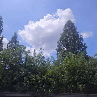 Profile image of 이터널슈가