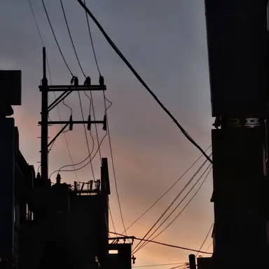 Profile image of 골드치즈