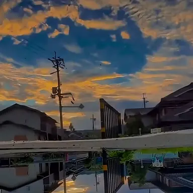 Profile image of 미스틱플라워