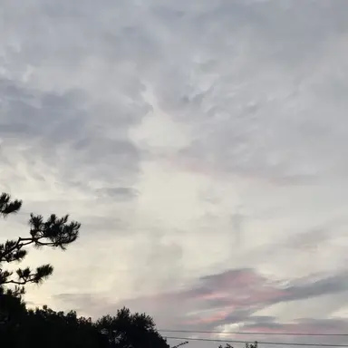 Profile image of 버닝스파이스