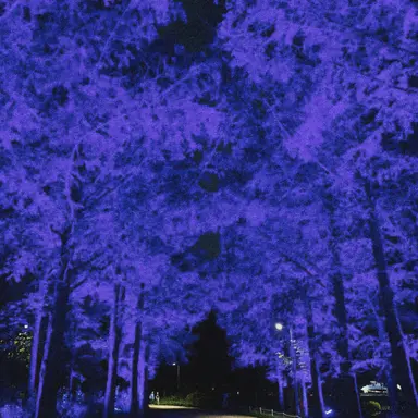 Profile image of 사일런트솔트