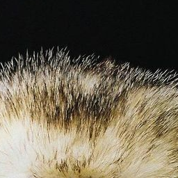 느릿한 대표 이미지