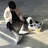 박도현