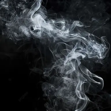 Profile image of 犬塚翼