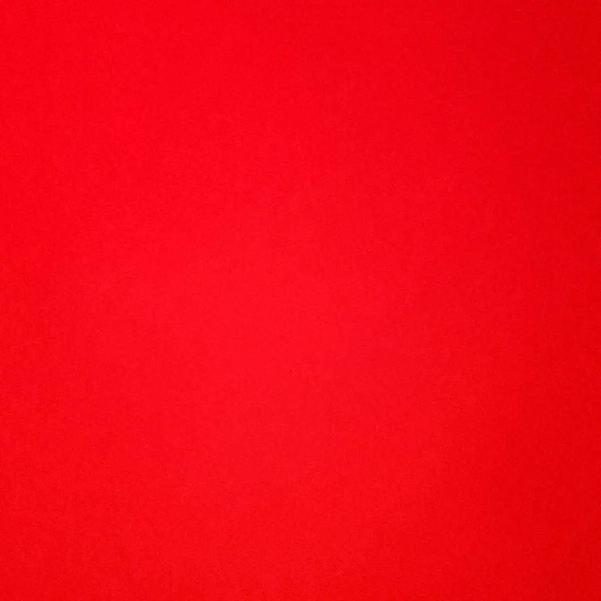 ColdStage2169의 픽셀리들과 동거 생활