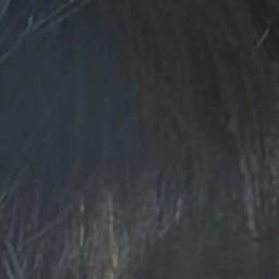 장하오