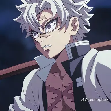 Profile image of Sanemi Shinazugawa