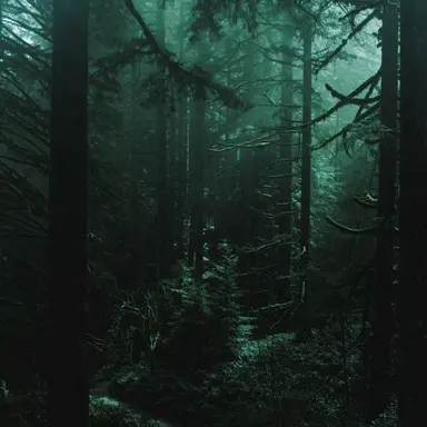 Profile image of 정형준