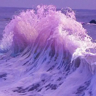 Profile image of 멜로우