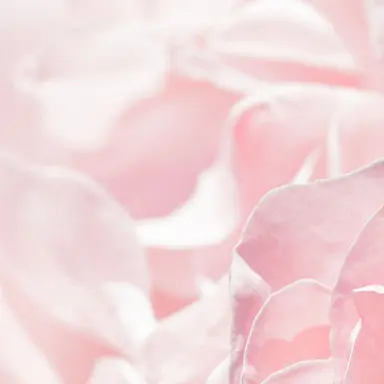 Profile image of 밥풀