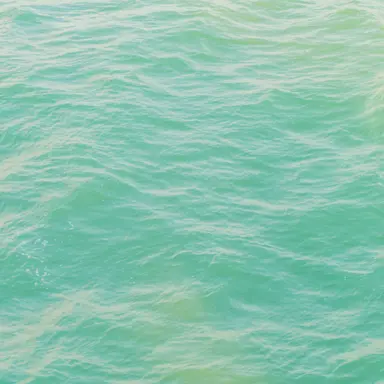 Profile image of 우유참치