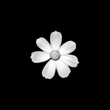 Profile image of 이수연