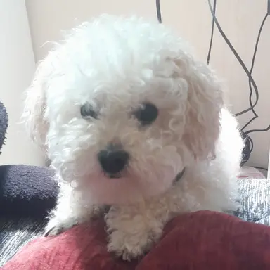 Profile image of 겨울