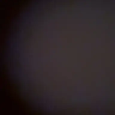 Profile image of 한동민