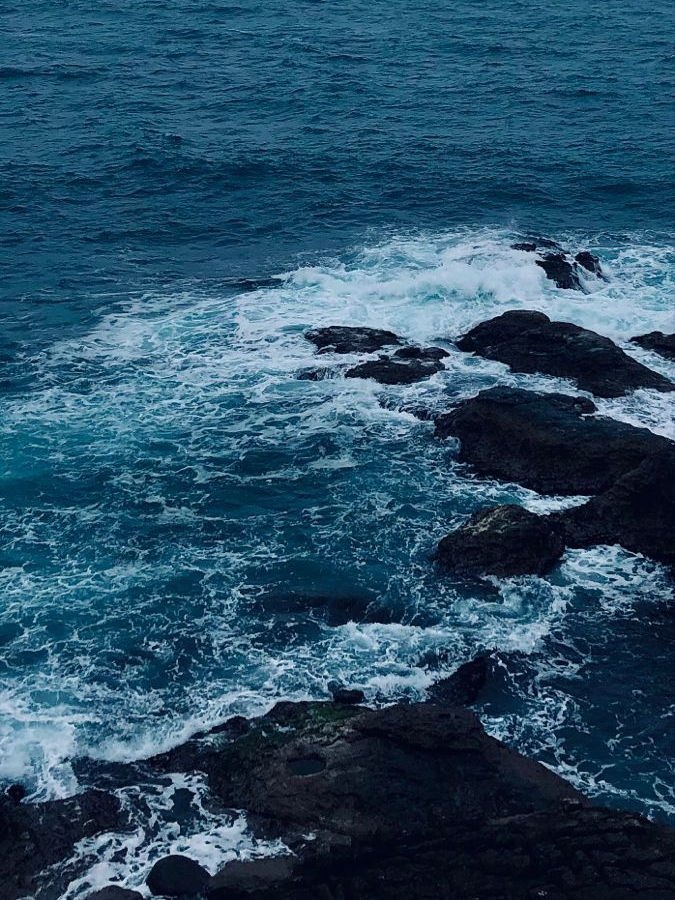 🌊 1228 대표 이미지