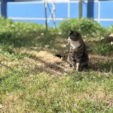 Profile image of 도운