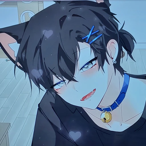 잭냥이