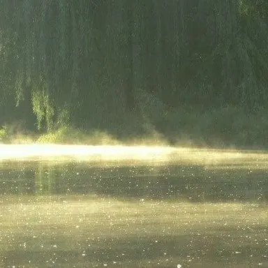 Profile image of 이동현