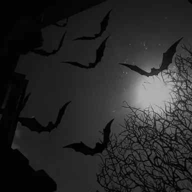 Profile image of フィリックス