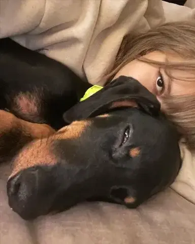 Profile image of Lalisa