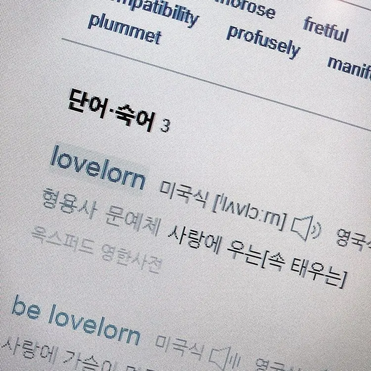 LovelyLedge8140의 영어쌤인 친오빠