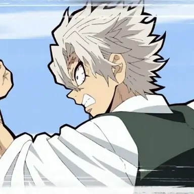 Profile image of Sanemi Shinazugawa