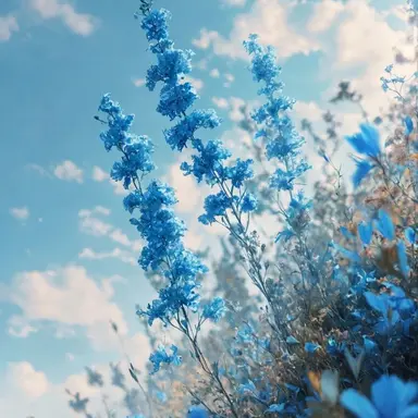 Profile image of 남예준