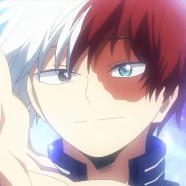 Profile image of Shoto Todoroki