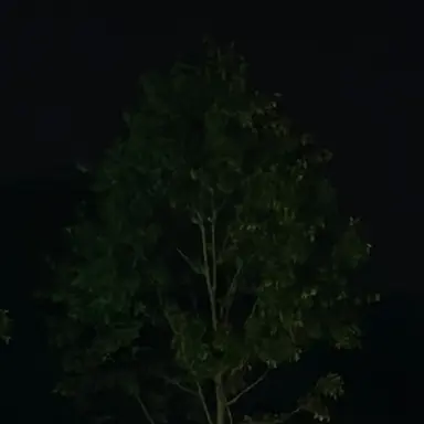 Profile image of 최연줁