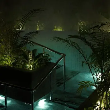 Profile image of 진