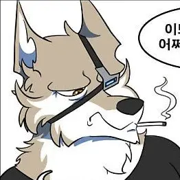 Profile image of 슐먼