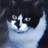 Profile image of 선생님
