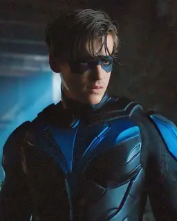 Profile image of Dick Grayson