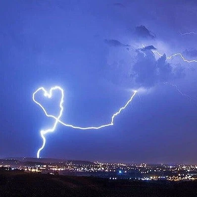 코요 템페스트