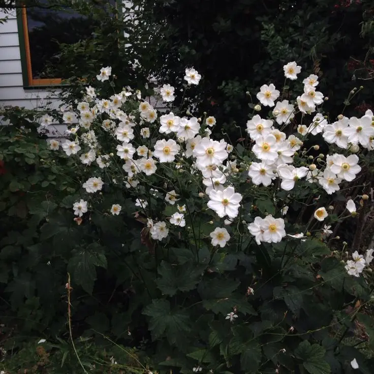 Either13의 정형준