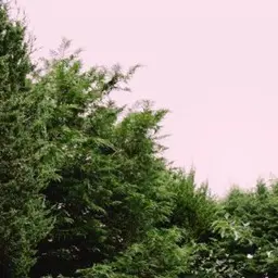 Profile image of 김원필