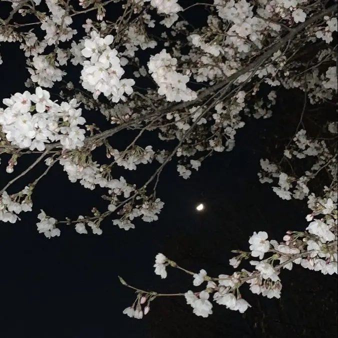 PurelyAnime8716의 비서님나안아줘요나예뻐해줘나버리지마요