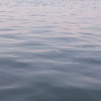 Profile image of 박솔트