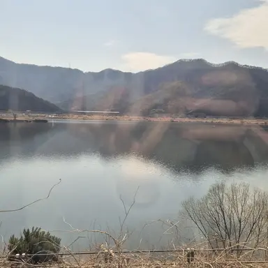 Profile image of 마을 이장