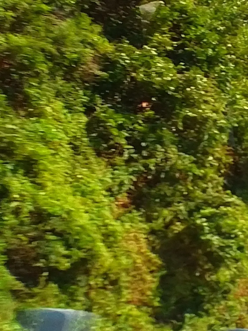 SleazyBell7542의 귀칼➕️현대➕️주합회의➕️팀나빠