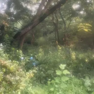 Profile image of 멜로우