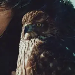 Profile image of 아이다간