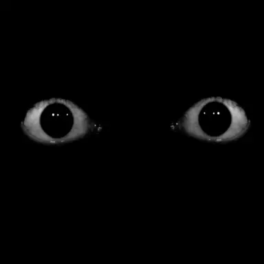 Profile image of Unknown