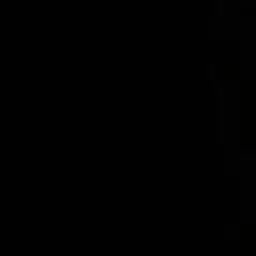 Profile image of 김동현