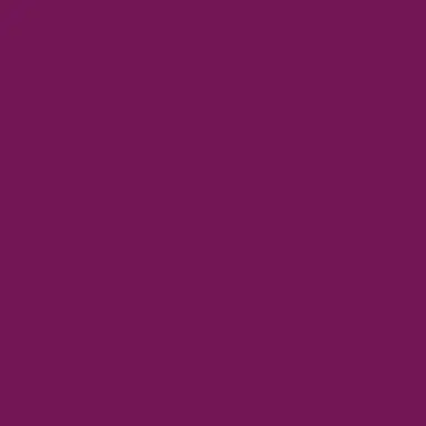 Profile image of イルーゾォ